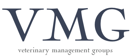 VMG_logo
