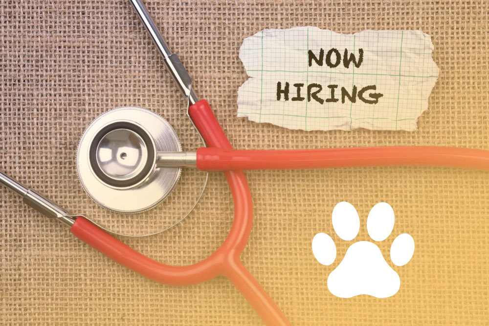 hire-veterinarians