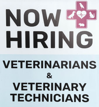 now-hiring-veterinarians-and-technicians