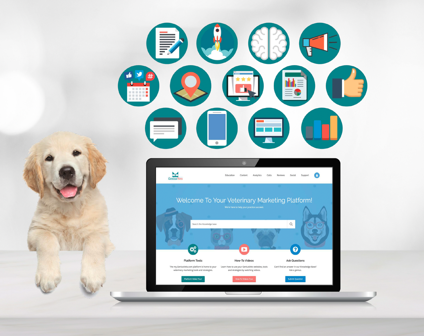 veterinary-marketing-services